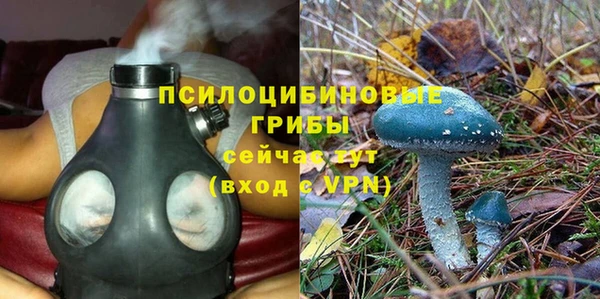 спиды Алзамай