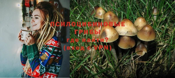 спиды Алзамай