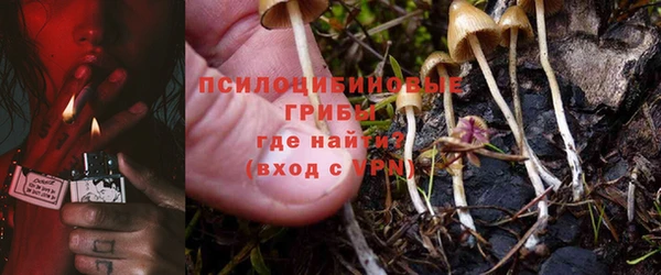 прущие грибы Алексин