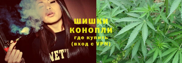 прущие грибы Алексин