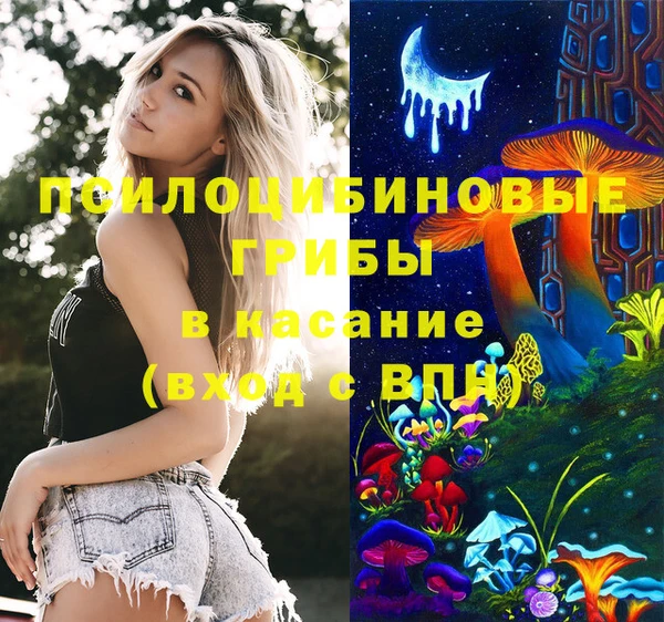 прущие грибы Алексин